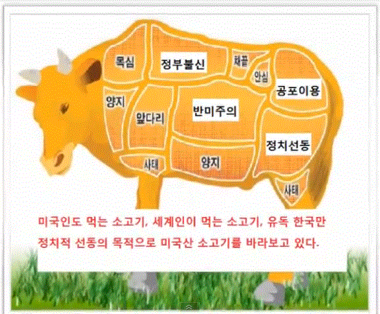 기사본문 이미지